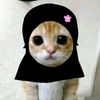sayaorangprend