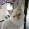 svetlanadusya