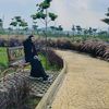 periikecil03