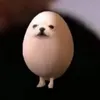 bicepy
