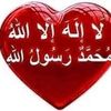 user4456619751236