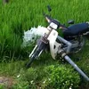 conganhuyendailoc1
