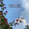 hadeelhadeel18_