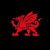 Wales 🏴󠁧󠁢󠁷󠁬󠁳󠁿