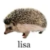 ms.whitelittlepig.ily