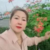 tinnguyn6678
