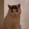 iwanttoeatdonut