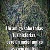 miguelverarojas75