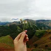 bichngochangxuat