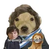 tomateverde128