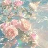 user4300060104081