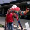 wilsoncarvalho456