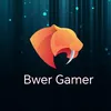 bwergamer