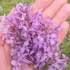 nejla_aslan.2763