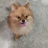 lainemc10