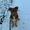 lennox_187_