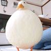 姜牡鴨