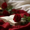 hava_38555