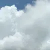piyda_07