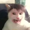 jakubpowaguski