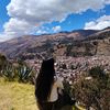 esther.v.31