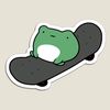 skateb0ardfrog