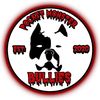 pocketmonsterbullies