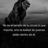 carlosmejia154