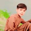shahjanjaved