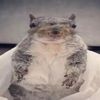 sloth77711