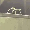 blank_dude1