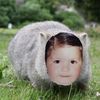 potatokingq