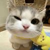 lilyciaaa