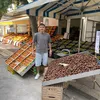 antonio_frutteriavitale
