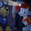 x.marshall_pawpatrol