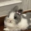fuyukawa.ai