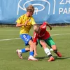 dawid_biedronka