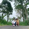 nengahanik698