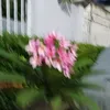itsmetisubasah