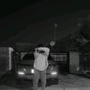 thabzalelo28