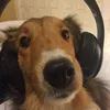 kusok_deda