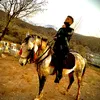 omarmahmood290