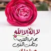 nomanelmostafa