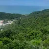 gonzalo_valde