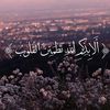 hanaabdelshafy4