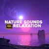 nature_sounds_4k