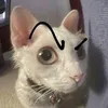 phiquocvan
