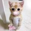 thonguy21