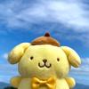 pompompurin.real