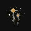 amnaahmed447